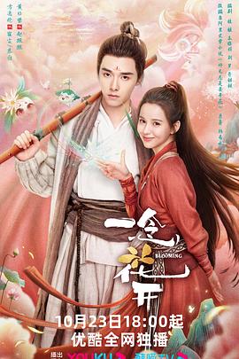 泰安优化网站怎么样